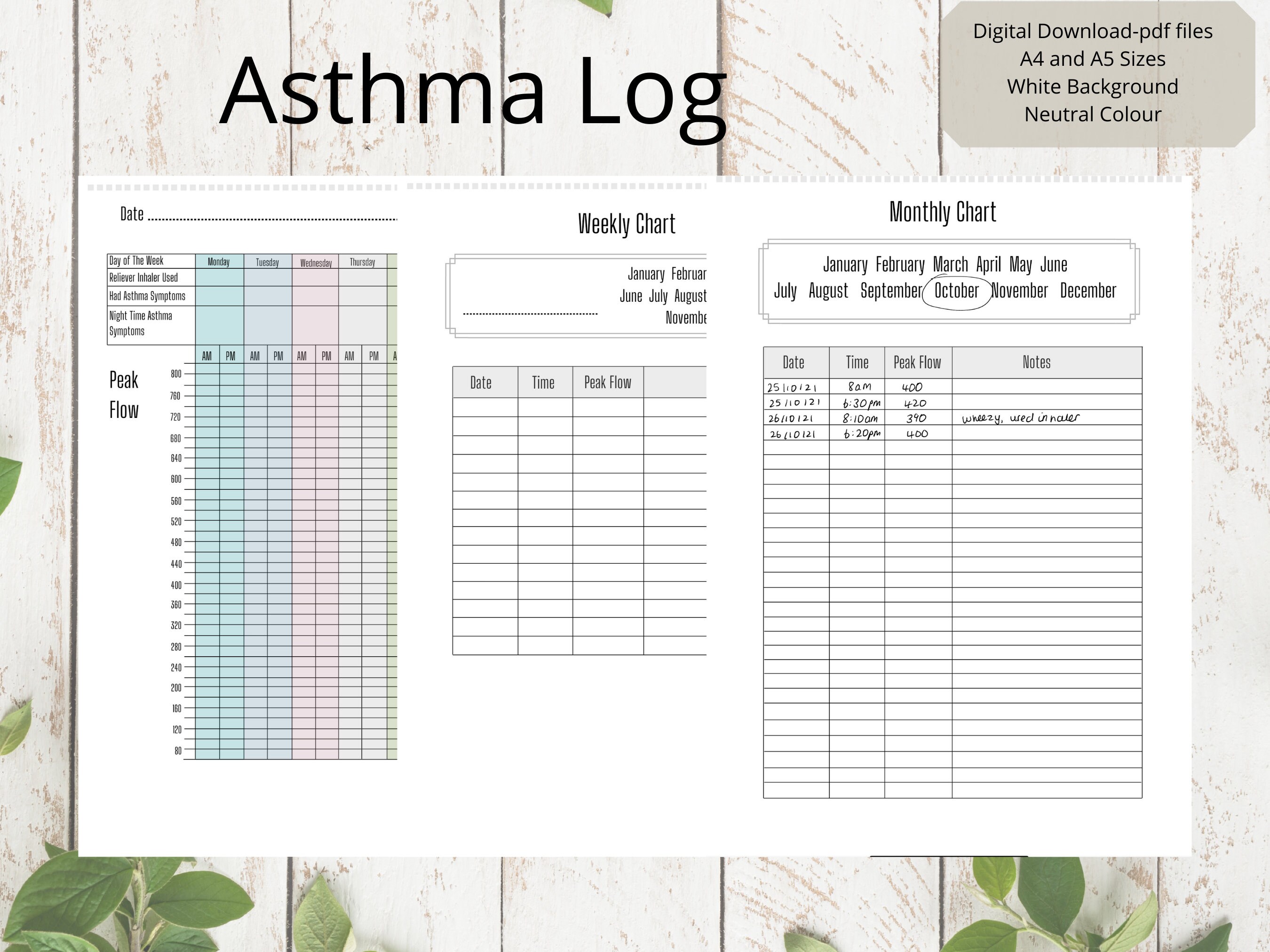 Asthma Peak Flow Log Peak Flow Tracker Medical Chart Medical Planner Digital Download Etsy