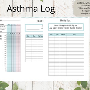 Asthma Peak Flow Log | Peak Flow Tracker | Medical Chart | Medical Planner | Digital Download
