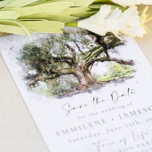 New Orleans Wedding Invitation: Live Oak Tree, Audubon Park, Southern Elopement