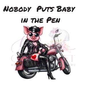 Nobody puts Baby in the pen