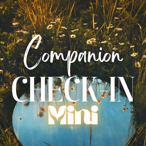 MINI Companion Check-in: wat gebeurt er in hun leven? | Spirit Keeping-communicatie | Entiteitschanneling | Tarot- en orakelkaarten