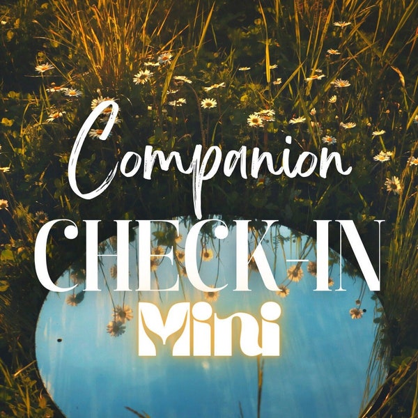 MINI Companion Check-In: What's Going On in Their Lives? | Spirit Keeping Communication | Entity Channeling | Tarot and Oracle Cards