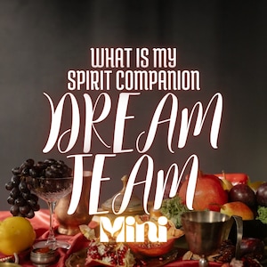 MINI Qual è il mio compagno spirituale Dream Team / La tua futura famiglia spirituale Compatibilità energetica / Canalizzazione delle entità / Tarocchi e carte dell'oracolo