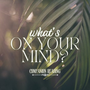 Waar denk je aan? | Een snelle en vuile lectuur | Spirit Keeping-communicatie | Entiteitschanneling | Tarot-orakelkaarten