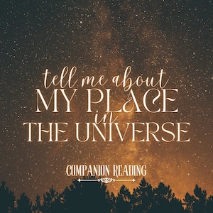 Raccontami del mio posto nell'universo / Cosa ti renderà felice e cosa ha bisogno di essere migliorato / Mandala Spread / La lettura dei tarocchi del gatto Divinazione