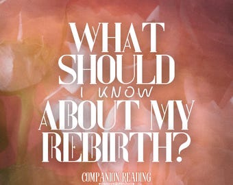 What Should I Know About My Rebirth? | Companion Tarot & Oracle Reading | Spirit Keeping Communication | Entity Channeling