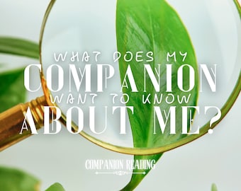 What Does My Companion Want to Know About Me? | Spirit Keeping Communication Reading | Entity Channeling | Tarot & Oracle Cards