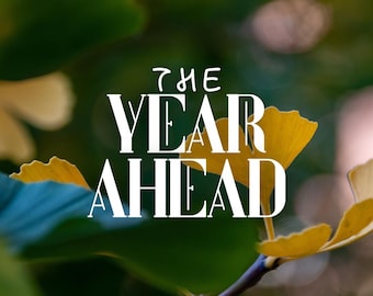 The Year Ahead | What's Coming Over the Next Twelve Months | Future Tarot & Oracle Reading | Entity Channeling