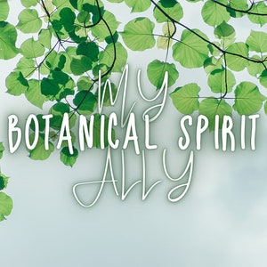 Identify My Botanical Spirit Ally Reading | Who is Your Plant Spirit Ally, and Why | Entity Channeling | The Magickal Botanical Oracle Cards