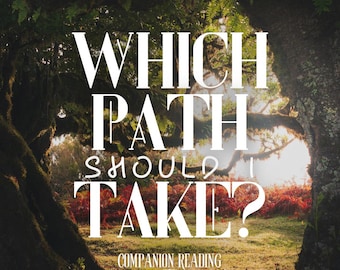 Which Path Should I Take? | Companion Tarot & Oracle Reading | Looking For Direction | Spirit Keeping Communication | Entity Channeling