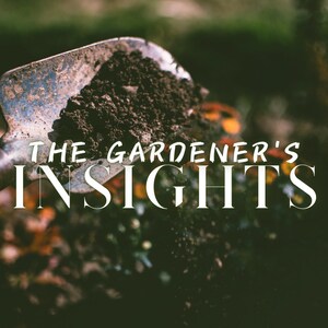The Gardener&#39;s Insights Reading | Grounded Perspective Divination | Guidance from Nature | The Magickal Botanical Oracle Tarot Cards