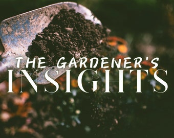 The Gardener's Insights Reading | Grounded Perspective Divination | Guidance from Nature | The Magickal Botanical Oracle Tarot Cards