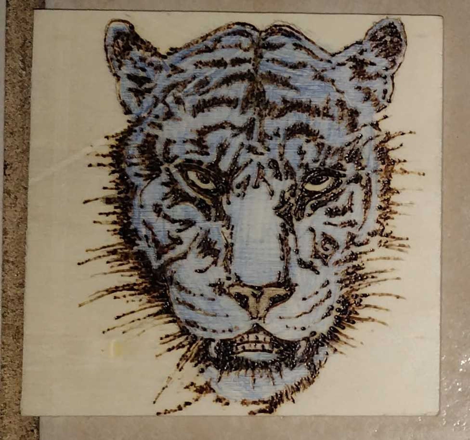 Siberian Tiger - Etsy
