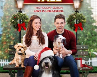 A Dogwalker s Christmas Tale Hallmark DVD Etsy