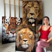 Sibel Colak