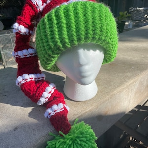 Grinch Inspired Long Stocking Cap, Handmade Crochet Hat, Unisex Winter Hat