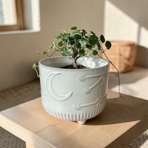 May include: A white ceramic planter with a debossed crescent moon and star pattern on the exterior. The cylindrical pot features a ribbed base and small feet, containing a small green plant with rounded leaves growing from the dark soil.