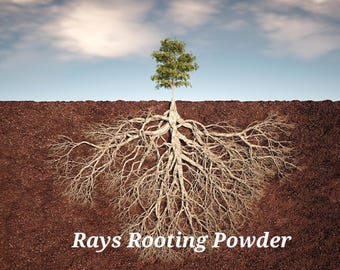 Rays Rooting Powder - limit 2