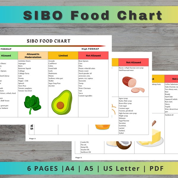 SIBO food list, Sibo Diet, Sibo Food Chart, Fodmap Chart, Low Fodmap Diet, SIBO Foods to Avoid, Gut Health Diet Printable PDF