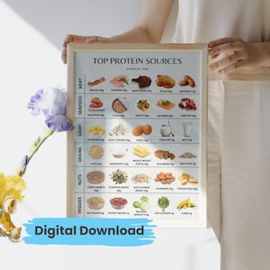 Protein Chart Poster Protein Cheat Sheet Protein Sources Highest Protein Food List Protein Content of Foods per 100g Graphic Printable PDF