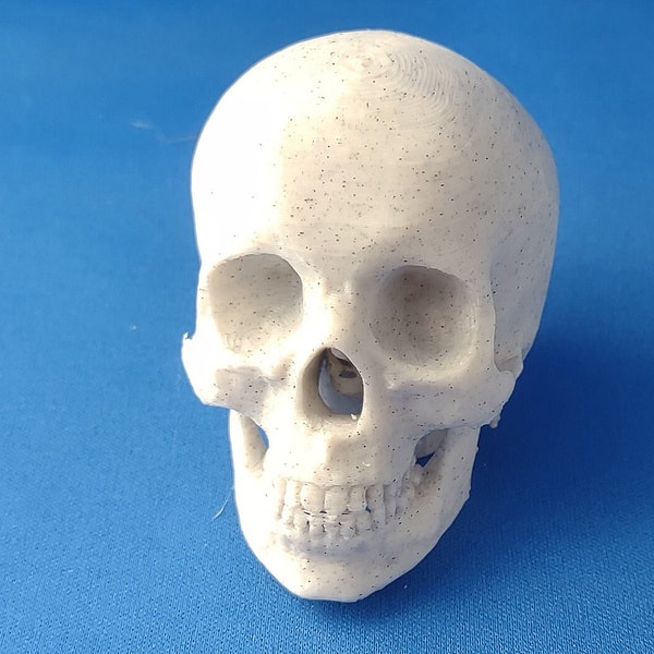 Wheelchair Powerchair Skull Joystick Knob