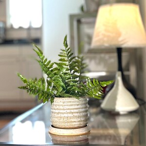 May include: A small, ceramic planter with a light beige, textured finish and horizontal lines, holding vibrant green fern leaves. The planter sits on a matching saucer. The scene is set on a glass table, with a lamp and other decor in the background.