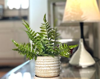 Speckled Clay Micro Planter with Drip Tray, Handmade Pottery for Succulents