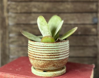 Handmade 2-Tone Blue Micro Planter: Wheel-Thrown Speckled Clay, Ridged Design, Matching Drip Tray