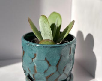 Ceramic Handmade Micro-Planter: Satin Matte Blue with Carved Surface and Modern Profile