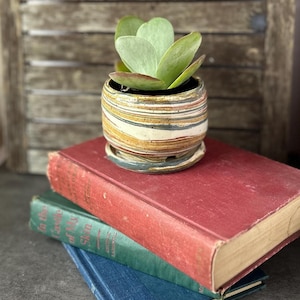 May include: A small, striped ceramic planter with a succulent plant, resting on a matching saucer. The planter is placed on top of a stack of three vintage books with red, green, and blue covers. The background is a wooden shutter.