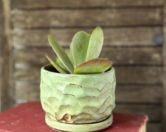 Hand-Carved Faceted Micro Planter with Drip Tray: Satin Green Abstract Surface