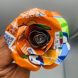 Fanta Orange Recycling Aluminiumdose Rose
