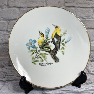 Yellow-headed blackbird 8&quot; collector plate by Bareuther Waldsassen Bavaria Germany