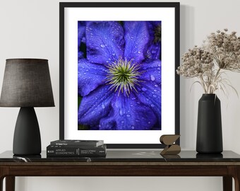 May include: A close-up photograph of a vibrant purple flower with water droplets on the petals. The flower is in focus, while the background is blurred.