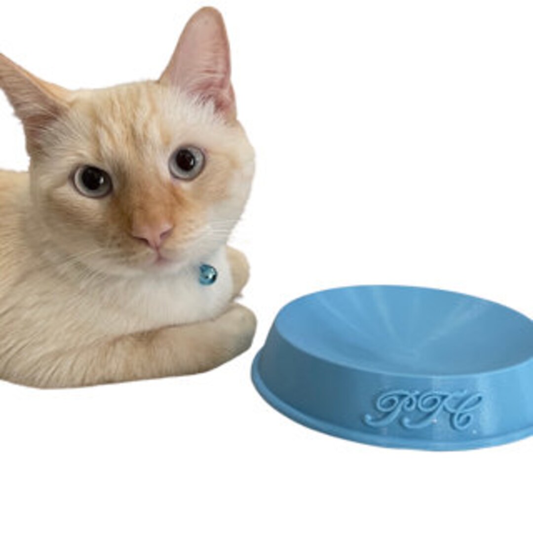 Whisker Fatigue Relief Cat Bowl Etsy