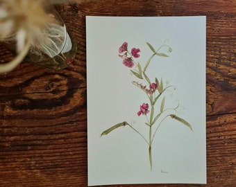 Kunstprint weideerwt A4 aquarellen wilde bloemen illustratie handgeschilderde aquarellen