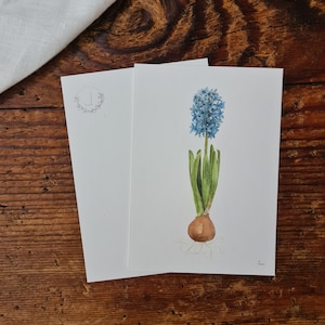 Hyazinthe Postkarte A6 florales Aquarelle handgemalt Grußkarte Blumen flower Frühling
