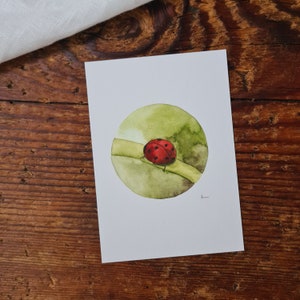 Postkarte Marienkäfer A6 viel Glück Postkarte Ladybug Aquarellgemalte Postkarte