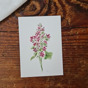 Wilde Malve A6 Aquarellpostkarte florale Aquarellmotive Grußkarte Blumen Freundschaft Natur