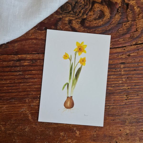 Narzisse Postkarte A6 florale Aquarelle handgemalt Grußkarte Frühlingszwiebel Ostern Osterkarte Aquarell Postkarten