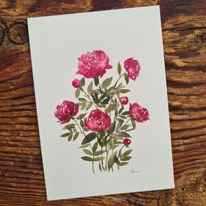 Pfingstrosen Aquarelle Postkarte A6 Grußkarte Pfingstrosen pink botanische Illustration
