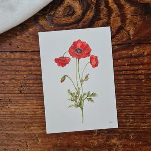 Mohnblume A6 Postkarte Grußkarte Floral Blumen Postkarte Mohn
