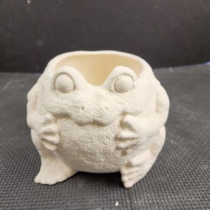 May include: White ceramic frog planter with a round opening for planting. The frog has a textured surface and large eyes.