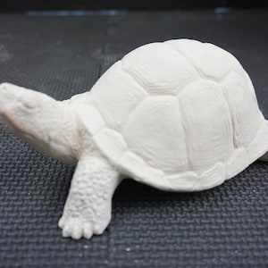 Unpainted Ceramic Bisque, Box Turtle