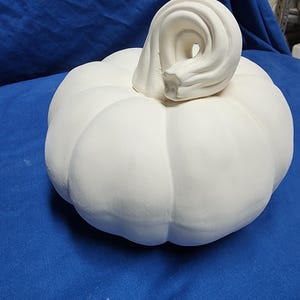 May include: A white, unpainted pumpkin with a large, curled stem. The pumpkin has a ribbed design and sits on a blue fabric surface. This decorative pumpkin is perfect for fall and Halloween.