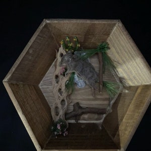 Real Mummified Mouse Shadow Box