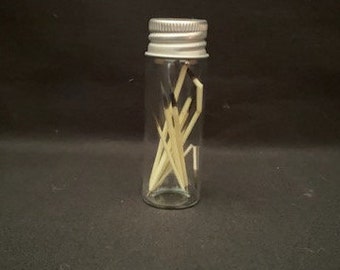 Real Jar Of Porcupine Quills