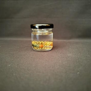 Real Wet Specimen Centipede