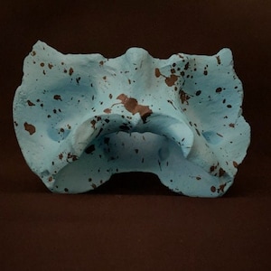 Real Splatter Painted Cow Vertebrae