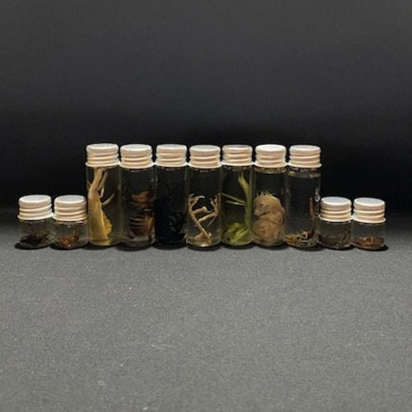 Wet Specimen - Etsy